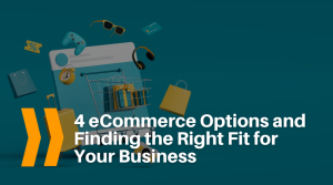 4 eCommerce Options and Finding the Right Fit for Your Business