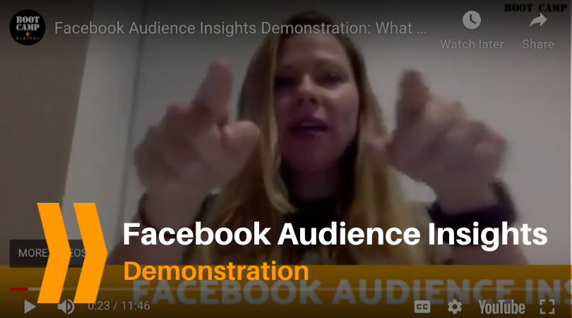 Blog Facebook Audience Insights Demo