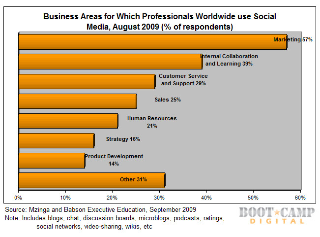 Business Areas for which professionals use social media statistic chart graph