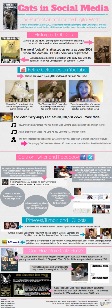CatsinSocialMedia2 e1405710901843