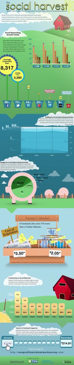 Interesting Infographic for nonprofits