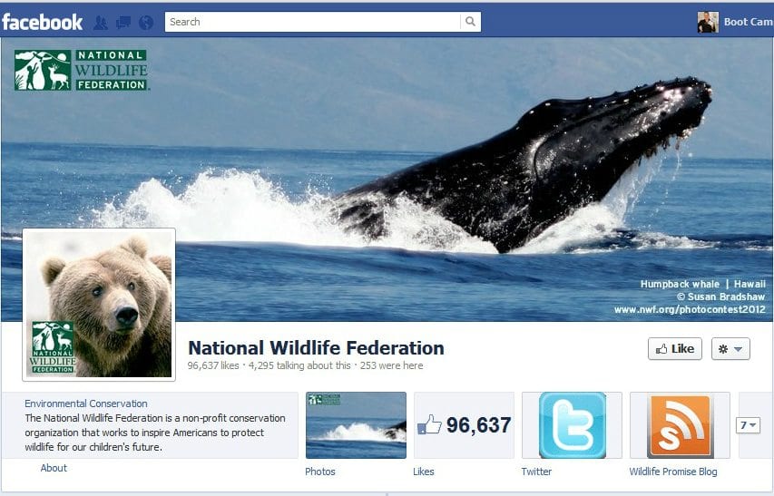 facebook page