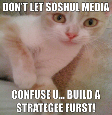 cat meme