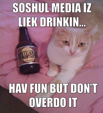 cat meme