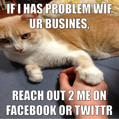 cat meme