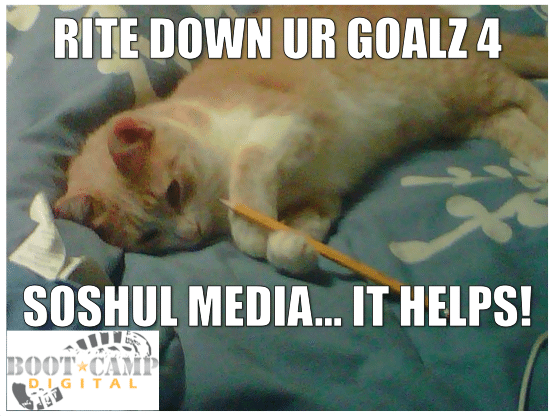 cat meme soshul media
