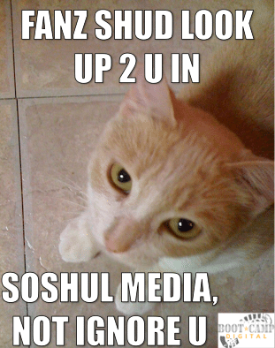 cat meme