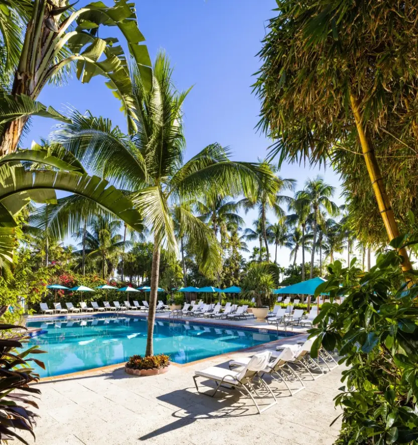 The Palms Hotel & Spa