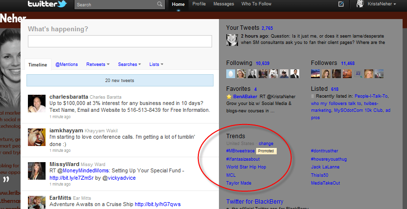 Twitter Promoted Tweets in Search