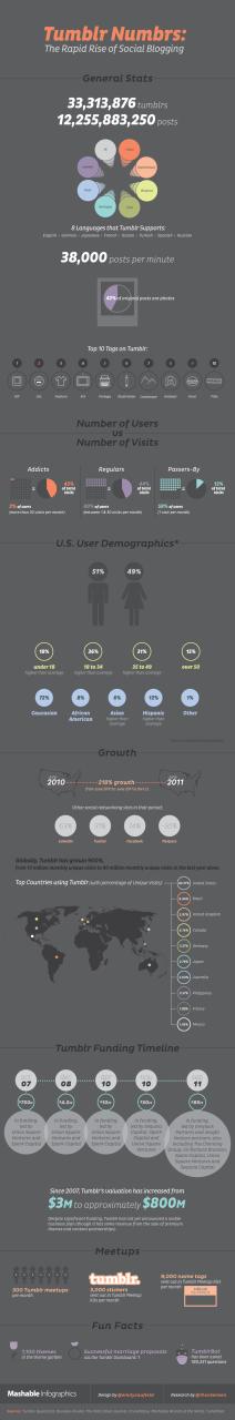 mashable infographic graphics tumblr11