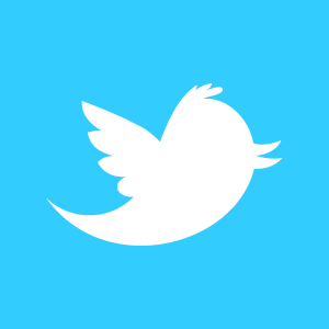 twitter bird twitter logo white on blue o